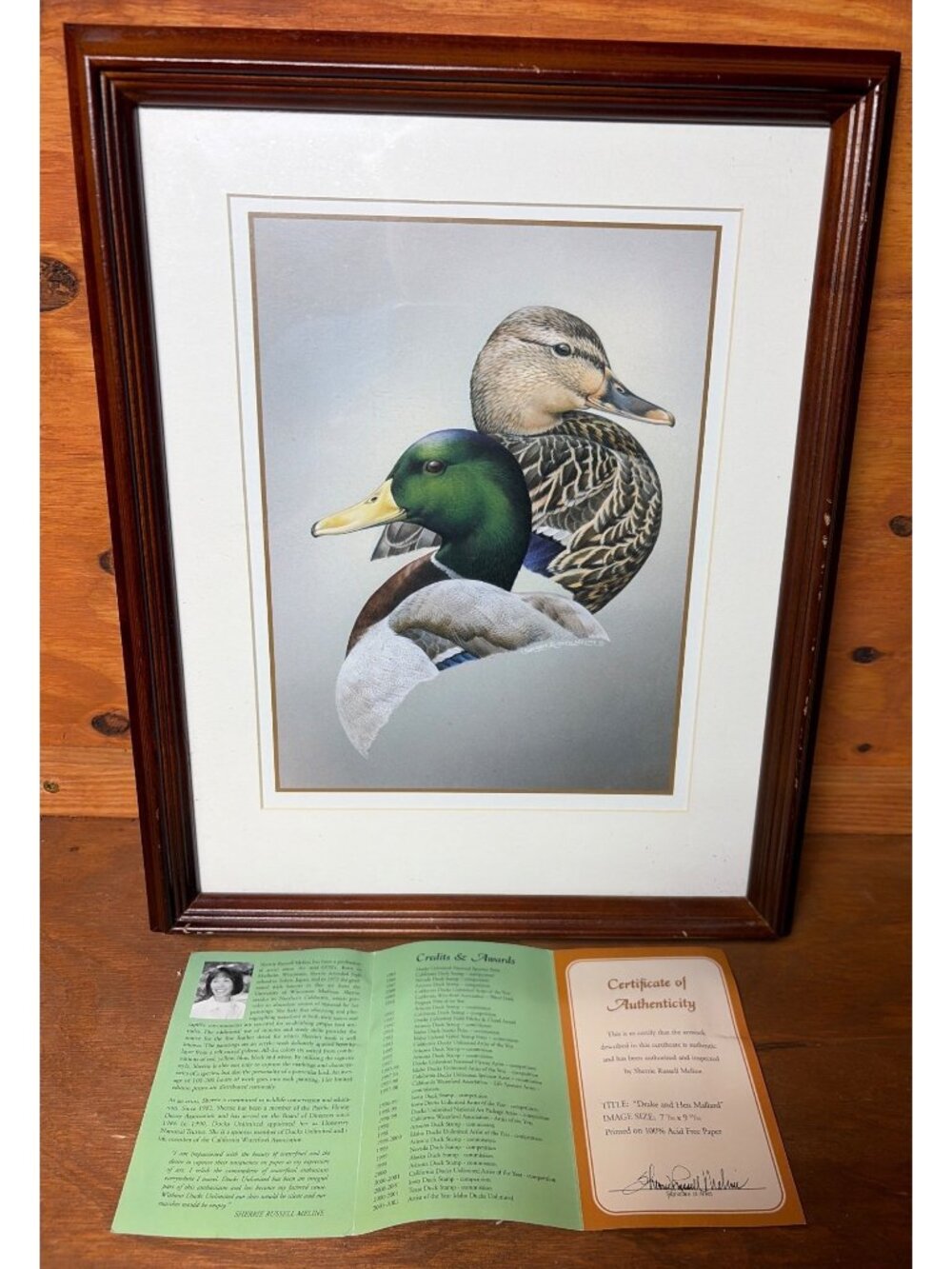 Drake And Hen Mallard Framed Wildlife Print By Sherrie Russell Meline With COA